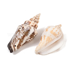 Натуральные раковины бисера&nbsp;X-BSHE-O007-57