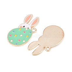 Подвески из сплава &nbsp;ENAM-D317-01G-05