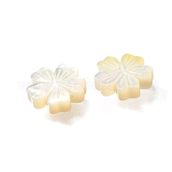 Натуральные белые бусины из ракушек BSHE-Z008-07