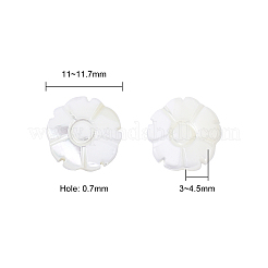 Нити бусин из натуральных ракушек SSHEL-CJ0001-09