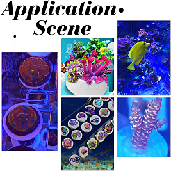 12 шт. 2-х стилевые фарфоровые коралловые осколочные основания AJEW-CA0003-36