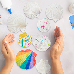 14 шт. 4 стиля аксессуаров для рисования натуральными ракушками DIY-NB0012-05