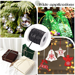 Блестящая нейлоновая лента OCOR-GF0004-48A-01