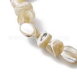Натуральные бусины из ракушек трохус эластичные браслеты для мужчин и женщин BJEW-JB11685