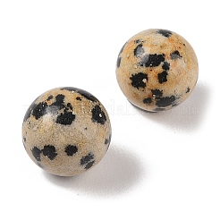 Jaspe dalmatien naturel&nbsp;G-K353-04A-16