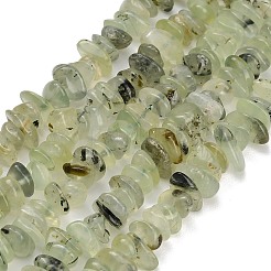 Perline Prehnite naturale fili&nbsp;GG-CBAC61B-C02-01