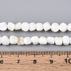 Нити бусин из натуральных пресноводных ракушек&nbsp;SHEL-N038-31