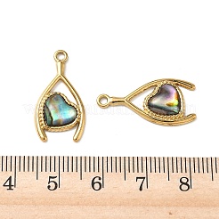 Natur Paua Muschel Anhänger&nbsp;STAS-G397-13G-02