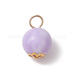 20 шт. Непрозрачные акриловые подвески&nbsp;PALLOY-JF03539