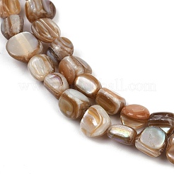 Нити бусин из натуральной ракушки трохус BSHE-Q050-01A