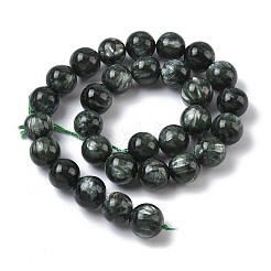 Природные SERAPHINITE нитей бисера&nbsp;G-C270-O01-13