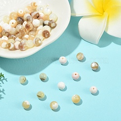 100 шт. 5 вида бусин из натуральных белых ракушек&nbsp;SSHEL-YW0001-17