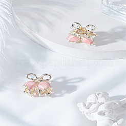 2 шт. заколки-коготь из цинкового сплава&nbsp;OHAR-LP0002-13A