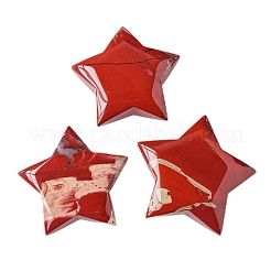 Natürliche rote Jaspis-Palmsteine&nbsp;PW-WG8957D-01