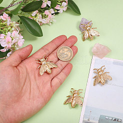 4 broche de cigarra&nbsp;JEWB-CA0001-63