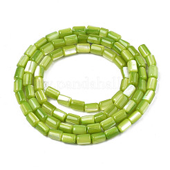 Fili di perle di conchiglia trochid naturale / trochus&nbsp;SHEL-N003-26-B07