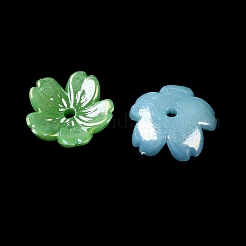 Акриловый шарик крышки OACR-G057-01D