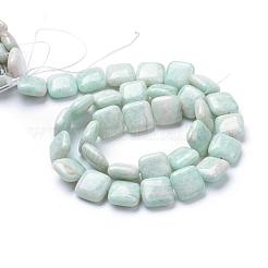 Fili di perline amazonite naturale&nbsp;G-R413-02