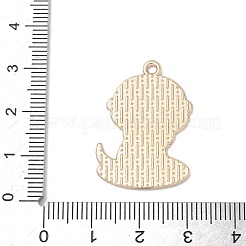 Подвески из эмали и сплава&nbsp;ENAM-C027-01E-01