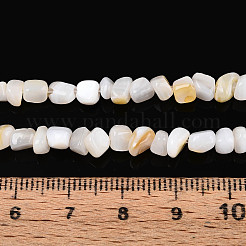 Нити бусин из натуральных пресноводных ракушек SHEL-N038-06A