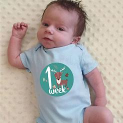 Новорожденные ежемесячные вехи наклейки DIY-H127-B16