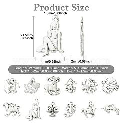 合金のチベット風チャーム  十二星座のチャーム  アンティークシルバー  9~21x9.5~16x1.5~2mm  穴：1.4~1.5mm  30個/セット&nbsp;FIND-CJC0024-75