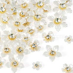 50 Stück 5 Stile Acryl-Cabochons&nbsp;MACR-TA0002-90