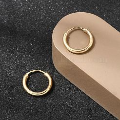 Orecchini a cerchio in ottone&nbsp;EJEW-G474-01G-01