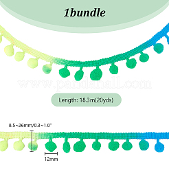 20 ярд радужной ленты из полиэстера с помпонами и кисточками для отделки ленты OCOR-PH0003-86