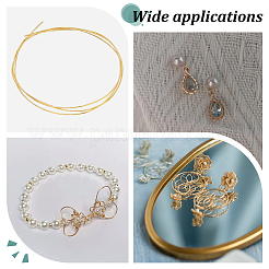 50 см серебряная проволока STER-PH0001-19A