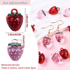 12 шт. 2-х цветные прозрачные корейские акриловые подвески&nbsp;OACR-YW0002-10