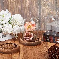 Стеклянный купол&nbsp;AJEW-SC0001-61C