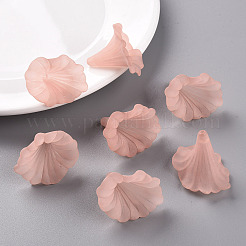 Прозрачные акриловые бусины&nbsp;BSF796-C11