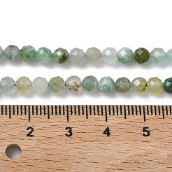 Природные африканские нефритовые бусы пряди&nbsp;G-L651-C04-4mm