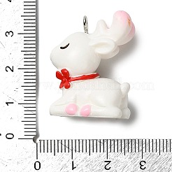 Пасхальные подвески из непрозрачной смолы&nbsp;LS-RESI-I336-01P-04