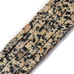 Природные яшмы далматин бисер нитей G-F631-K30