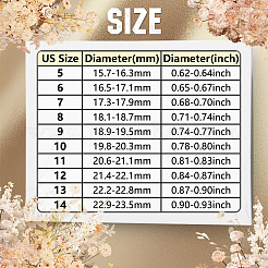 18個 18スタイル 201 ステンレススチール 指輪  ステンレス鋼色  2~6mm  内径：16.2~21mm  1個/スタイル&nbsp;RJEW-SC0001-37P