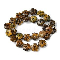 Природных тигровый глаз бисер нитей&nbsp;G-H023-B12-01