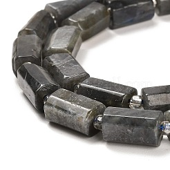 Натуральные нити бус из ларвикита G-G068-A21-01