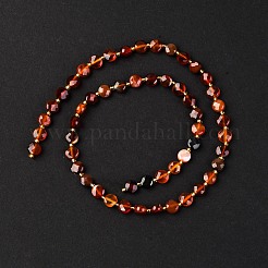 Природного сердолика нитей бисера&nbsp;G-K389-B43-01