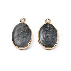 Природные подвески лабрадорита&nbsp;G-N326-130-05