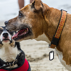 Ювелирные комплекты diy DIY-CA0005-08