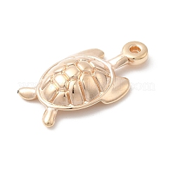 Пластмассовые подвески ccb&nbsp;CCB-I007-06KCG