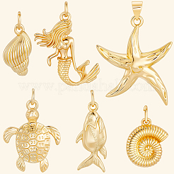 12шт 6 латунные подвески&nbsp;KK-BBC0019-36