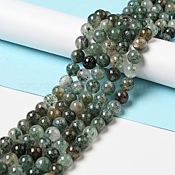 Fili di perline fuchsite naturali&nbsp;G-K285-40C-1