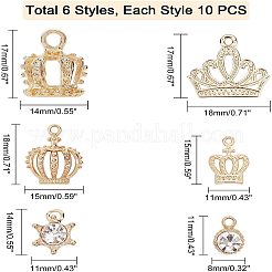 60 pièces 6 styles pendentifs en alliage&nbsp;PALLOY-PH0001-76G