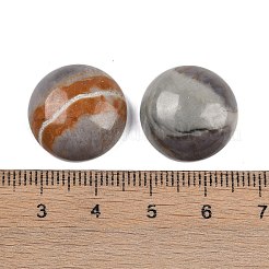 Natürliche Picasso-Jaspis-Cabochons&nbsp;G-T020-18mm-42
