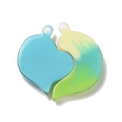 Полупрозрачные подвески из смолы градиентного цвета&nbsp;RESI-G048-01E