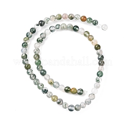 Природные моховой агат бисер нитей G-Z116-A05-3mm