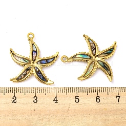 Природные пауа оболочки подвески STAS-P341-03G-01